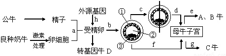 作业帮