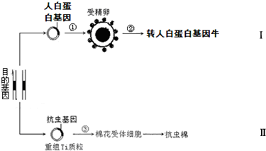 作业帮