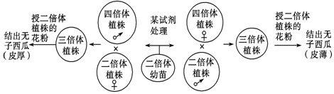 作业帮