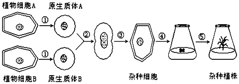 作业帮