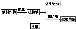 作业帮