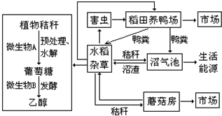 作业帮