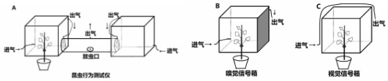 作业帮