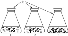 作业帮