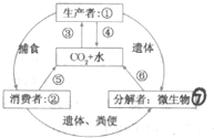 作业帮