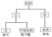 作业帮