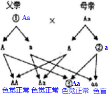 作业帮