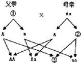 作业帮