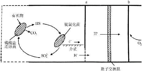 作业帮