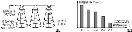 作业帮