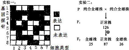 作业帮