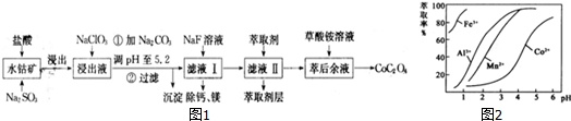 作业帮