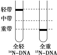 作业帮