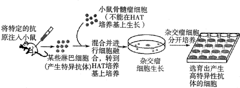 作业帮