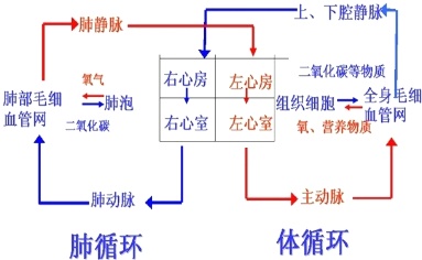 作业帮