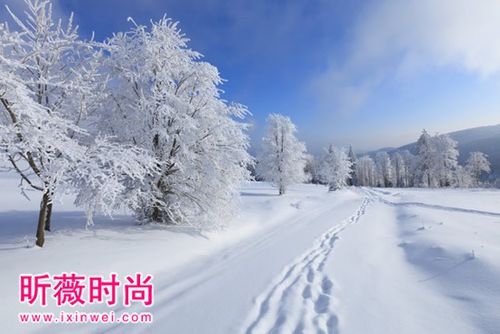 关于赞美大雪句子唯美边疆大全  关于赞美大雪的诗句