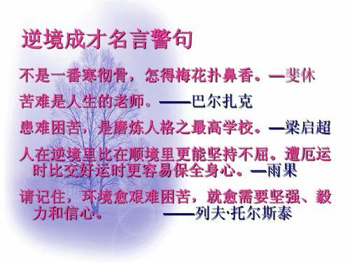 关于逆境中成长的英文名言警句大全  关于逆境成长的名言名句