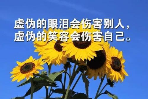 关于早晨女性发朋友圈优美句子大全 