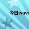 wavecn下载 