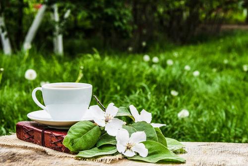 花园品茶的唯美句子 关于品茶的唯美句子