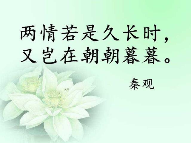 寄托爱情古诗词 关于寄托爱情的诗句