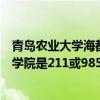 青岛农业大学海都学院和青岛农业大学  青岛农业大学海都学院寒假放假时间