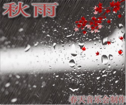 写秋雨的古诗词 描写秋雨的古诗词大全