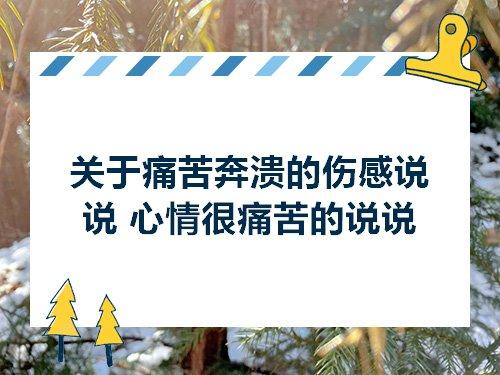 痛苦的价值名言警句 关于生死价值的名言警句