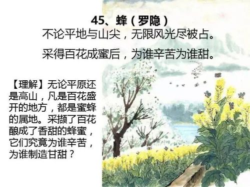 同志们辛苦的古诗词 不论平地与山尖，无限风光尽被占